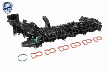 Intake Manifold Module