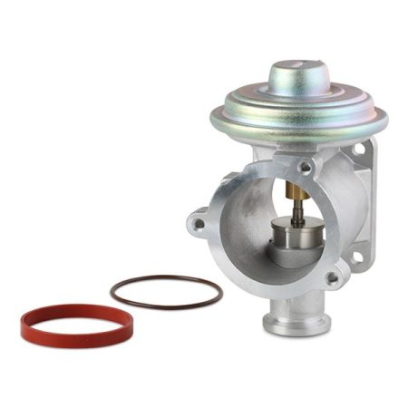 EGR valve