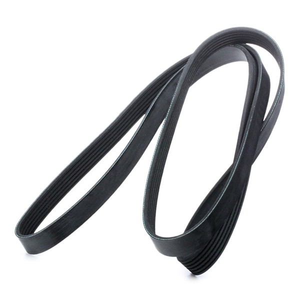 V-Ribbed belt (6PK1635)