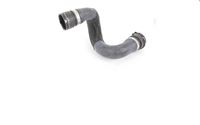 HOSE RADIATOR LOWER