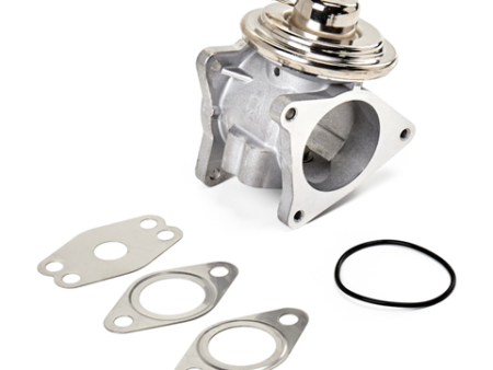 EGR valve