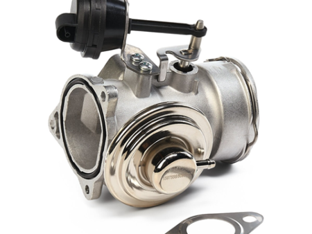 EGR valve