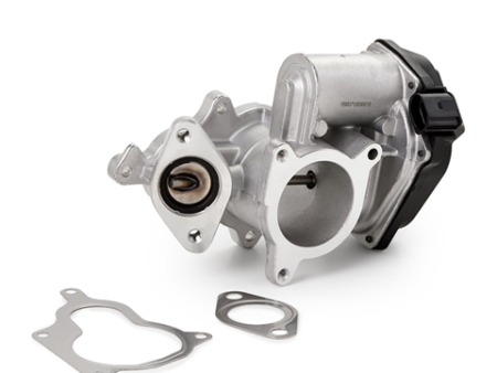 EGR valve
