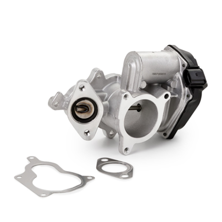 EGR valve