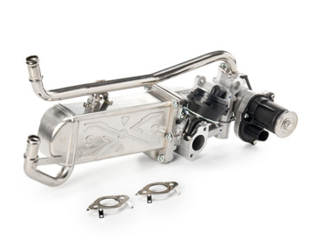 EGR valve