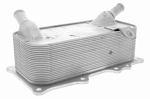 Engine oil cooler