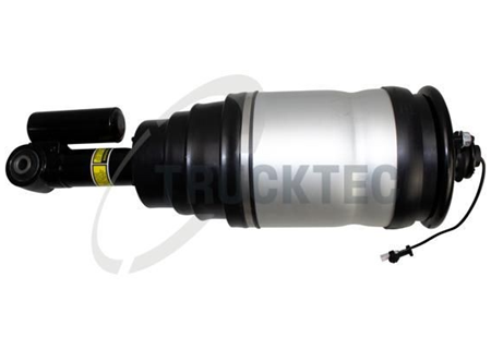 Air suspension strut for Range Rover Sport L320, Rear Axle Right