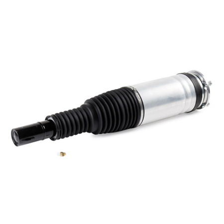 Air suspension strut for Range Rover L494, Front Axle Left