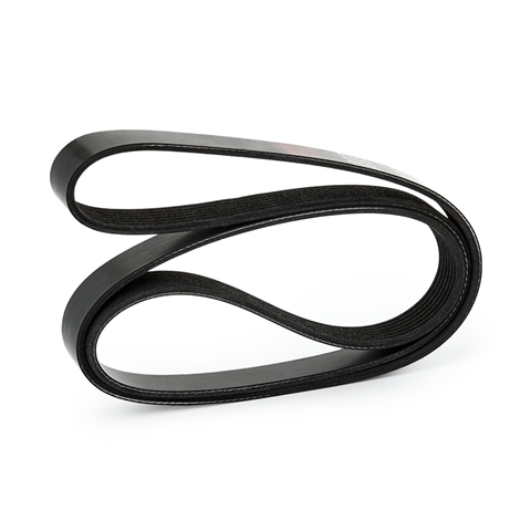 Serpentine belt 1580mm, 7 spline