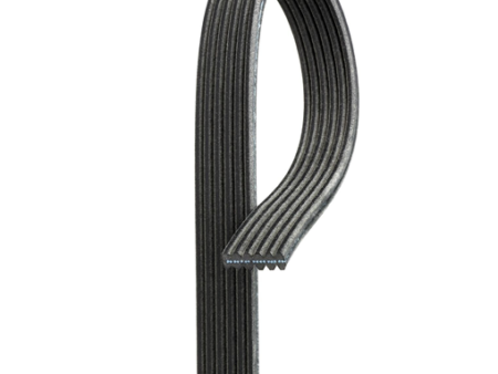 V- belt 6DPK1195