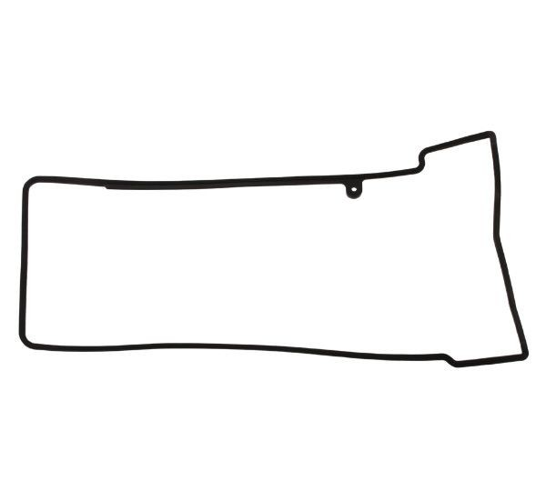 Tappet cover gasket