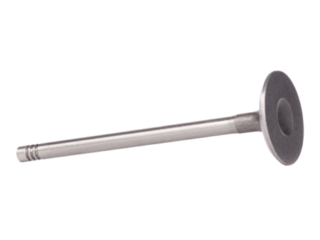 Inlet valve
