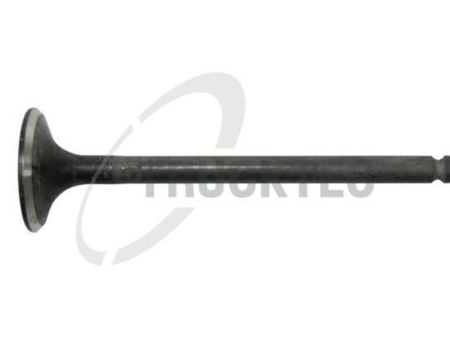 Exhaust valve