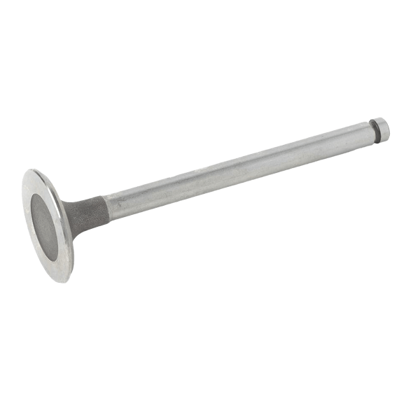 Inlet valve