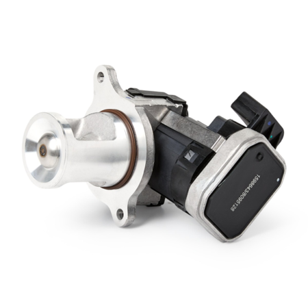 EGR valve