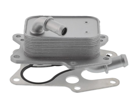 Engine oil cooler