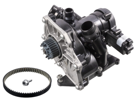Water pump with thermal management module