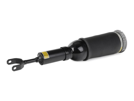 Air suspension strut for AUDI A6, ALLROAD Front axle both sides