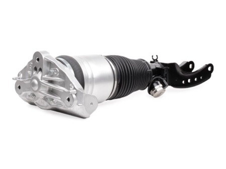 Air suspension strut Front Axle Right
