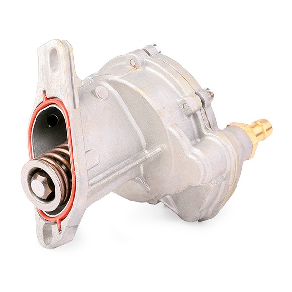 Brake vacuum pump