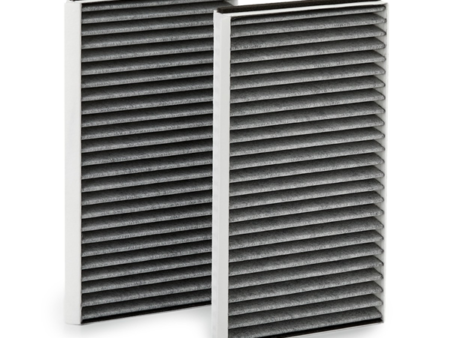 Pollen filter
