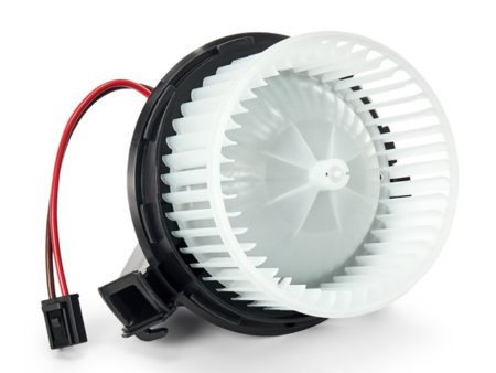Blower motor